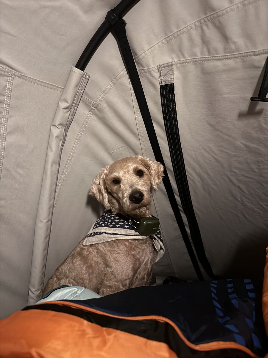 Brock in tent