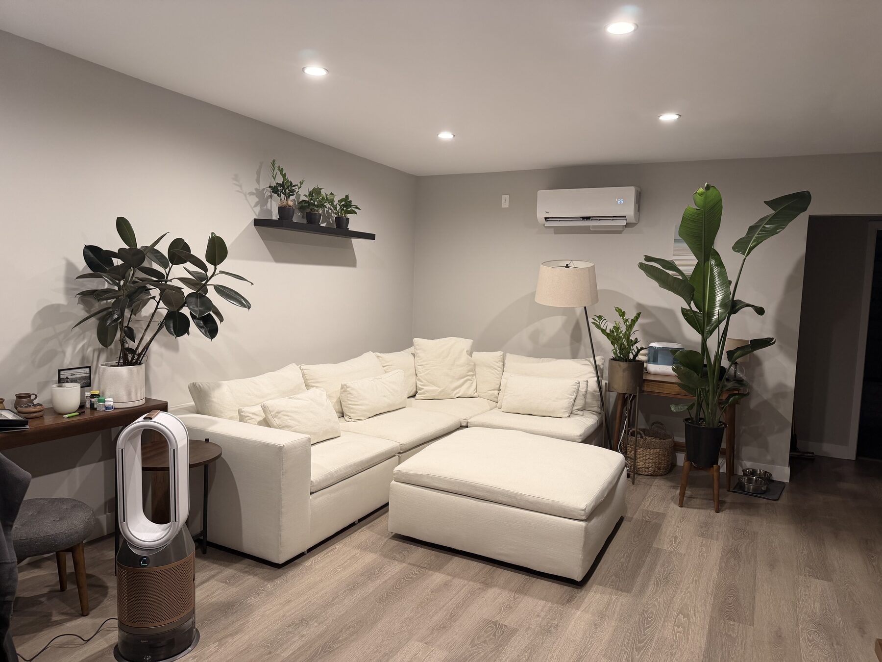 Living room: white sectional and ottoman, a black floating shelf of small potted plants above it, a tall bird-of-paradise in the corner, a rubber tree on the console, wide-plank floors